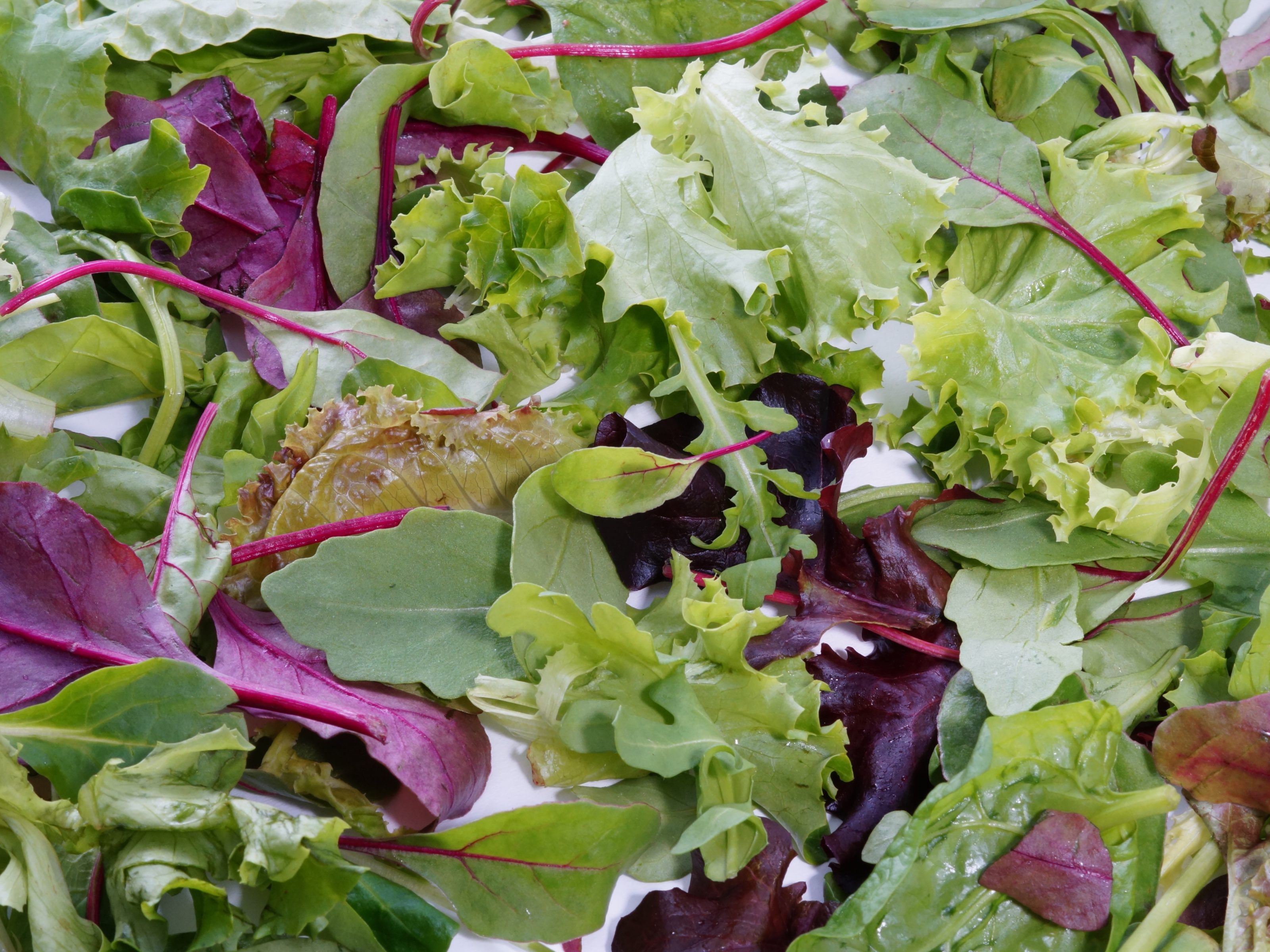 Washed and picked lettuce mix - Freshly made by Rungis