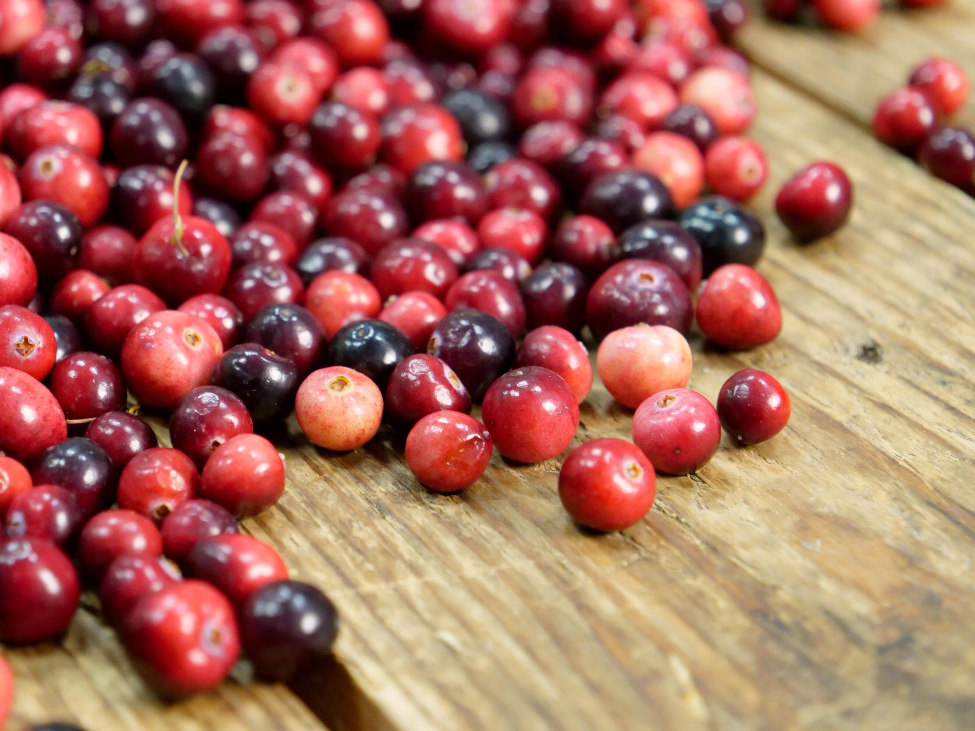 Cranberries van Terschelling en Hollandse Red Love appels - Rungis