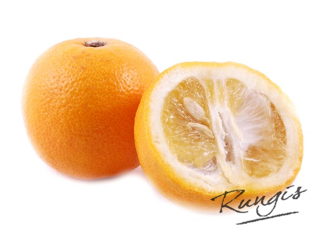 Emulatie Mens dempen Biologische bittere sinaasappels - Rungis